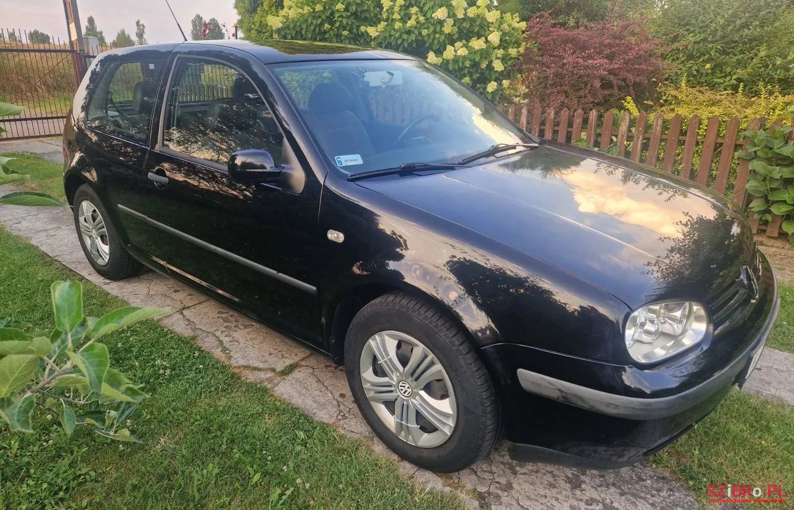 2001' Volkswagen Golf photo #2