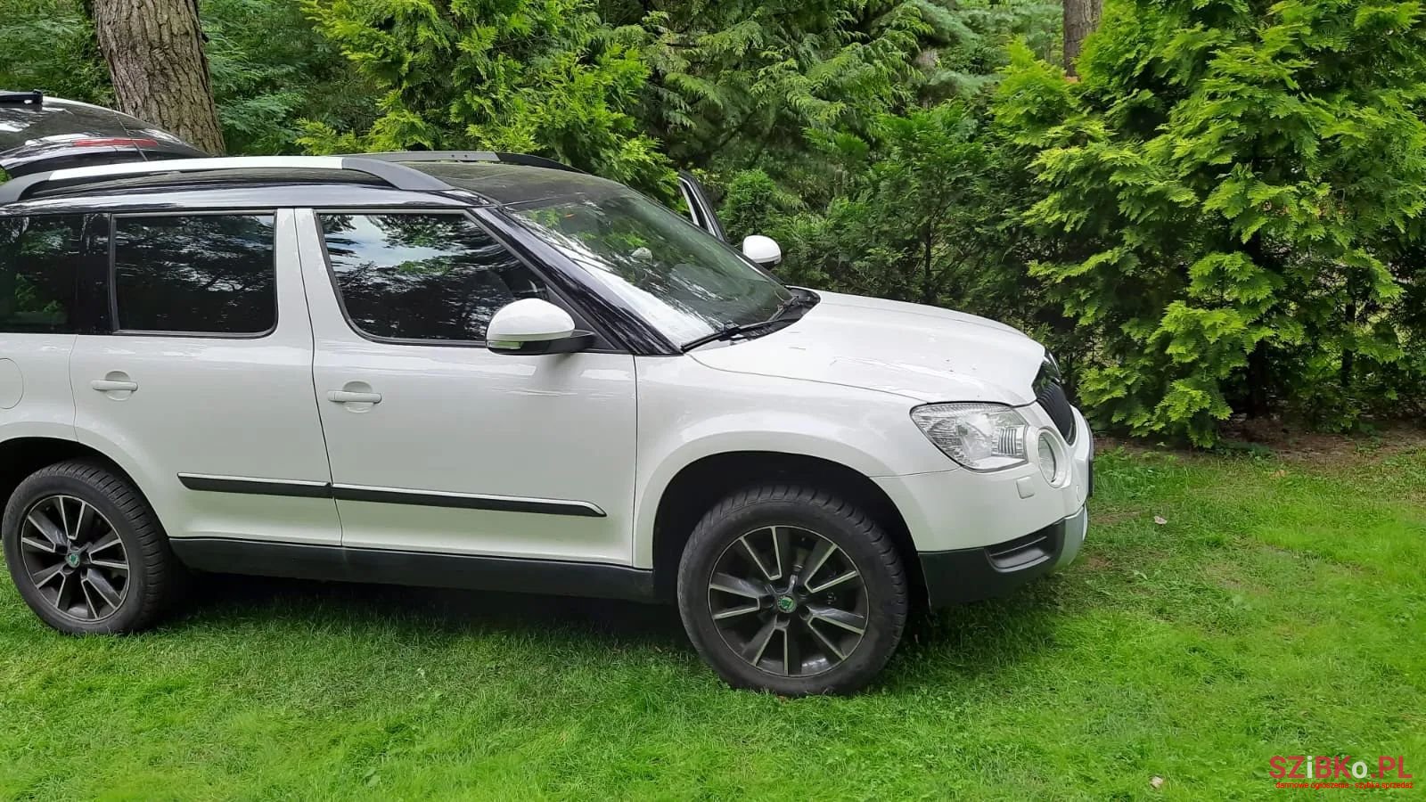 2012' Skoda Yeti photo #3