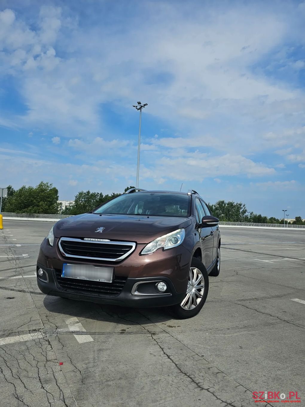 2013' Peugeot 2008 photo #4