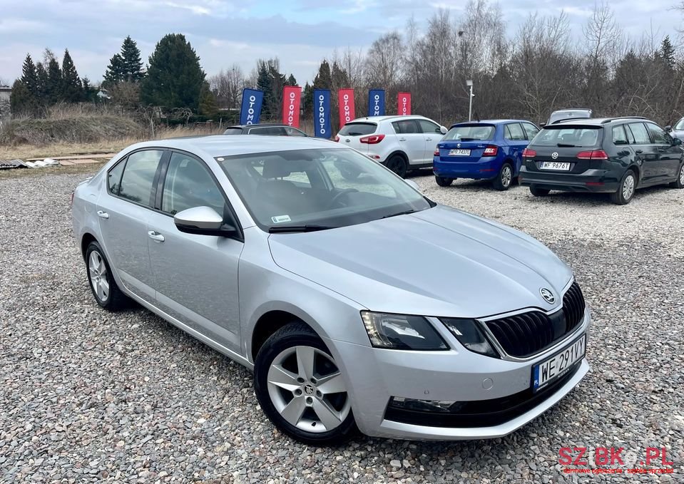2019' Skoda Octavia photo #2