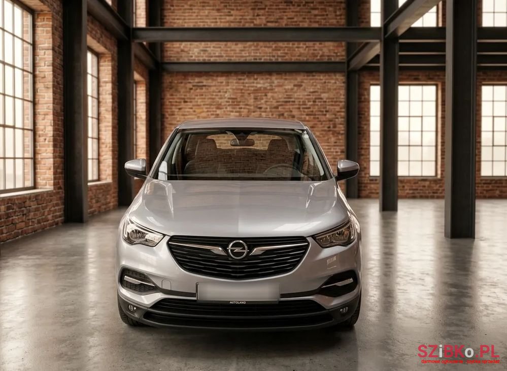 2018' Opel Grandland X photo #1