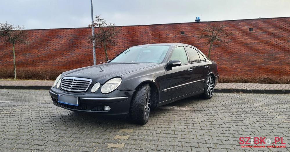 2004' Mercedes-Benz E-Class photo #2