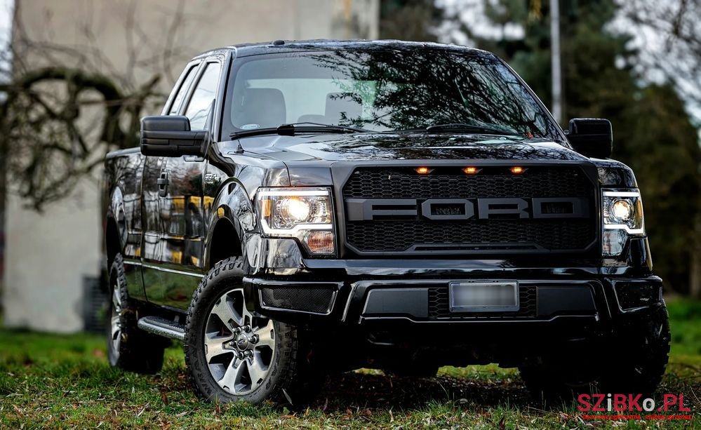 2014' Ford F-150 photo #1