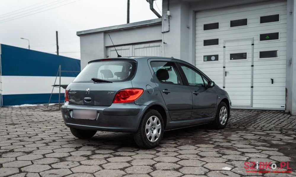 2005' Peugeot 307 photo #5