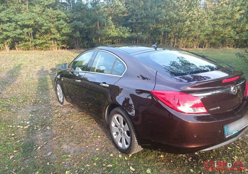 2010' Opel Insignia photo #1