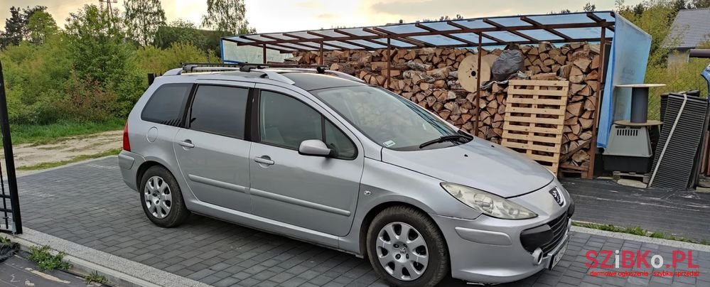 2006' Peugeot 307 1.6 photo #2