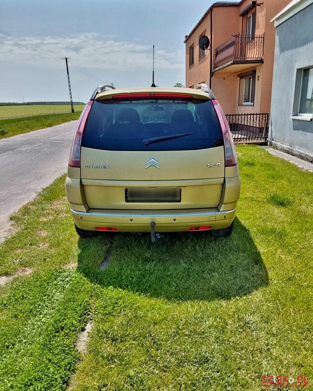 2009' Citroen C4 Picasso photo #4