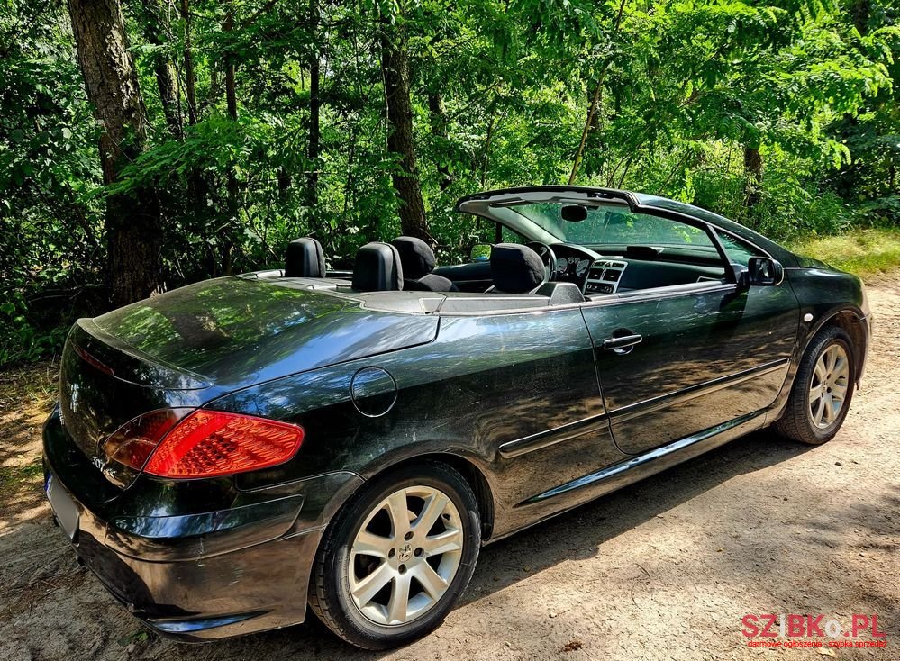 2004' Peugeot 307 photo #2