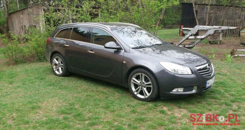 2010' Opel Isygnię photo #1