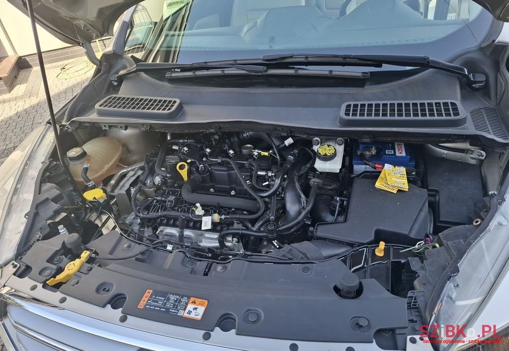 2017' Ford Escape photo #4