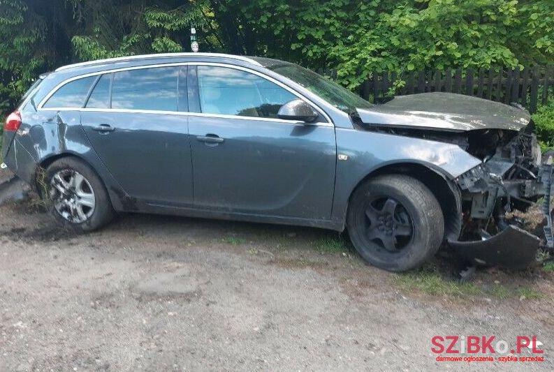 2010' Opel Insygnia photo #1