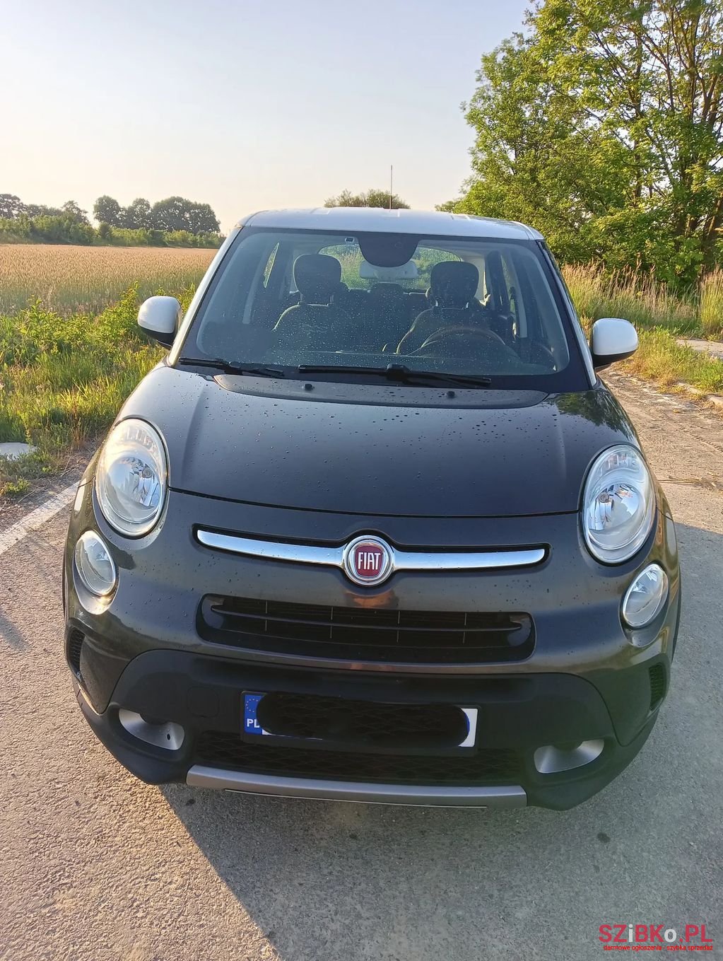 2016' Fiat 500L photo #1