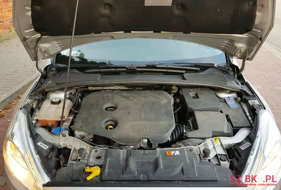 2014' Ford Focus photo #5