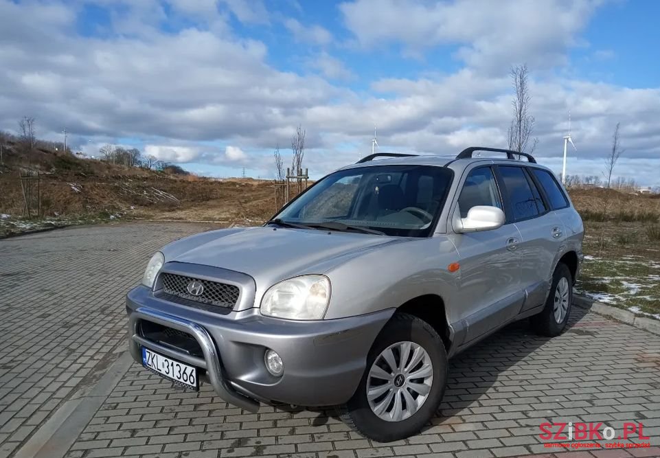 2004' Hyundai Santa Fe photo #2