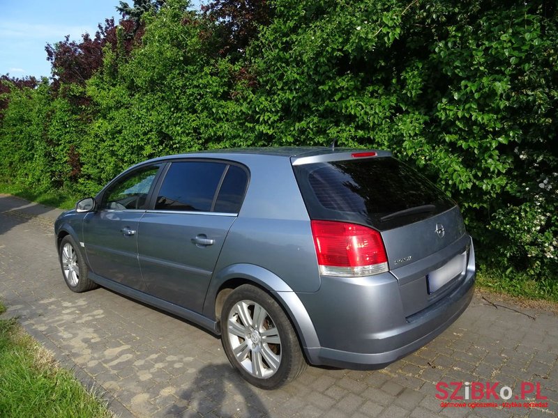 2005' Opel Signum photo #6