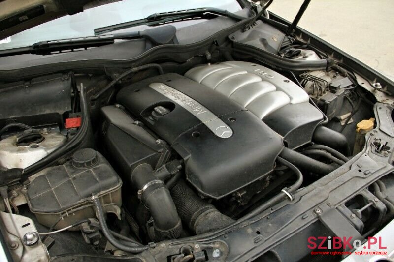 2002' Mercedes-Benz W209 photo #6