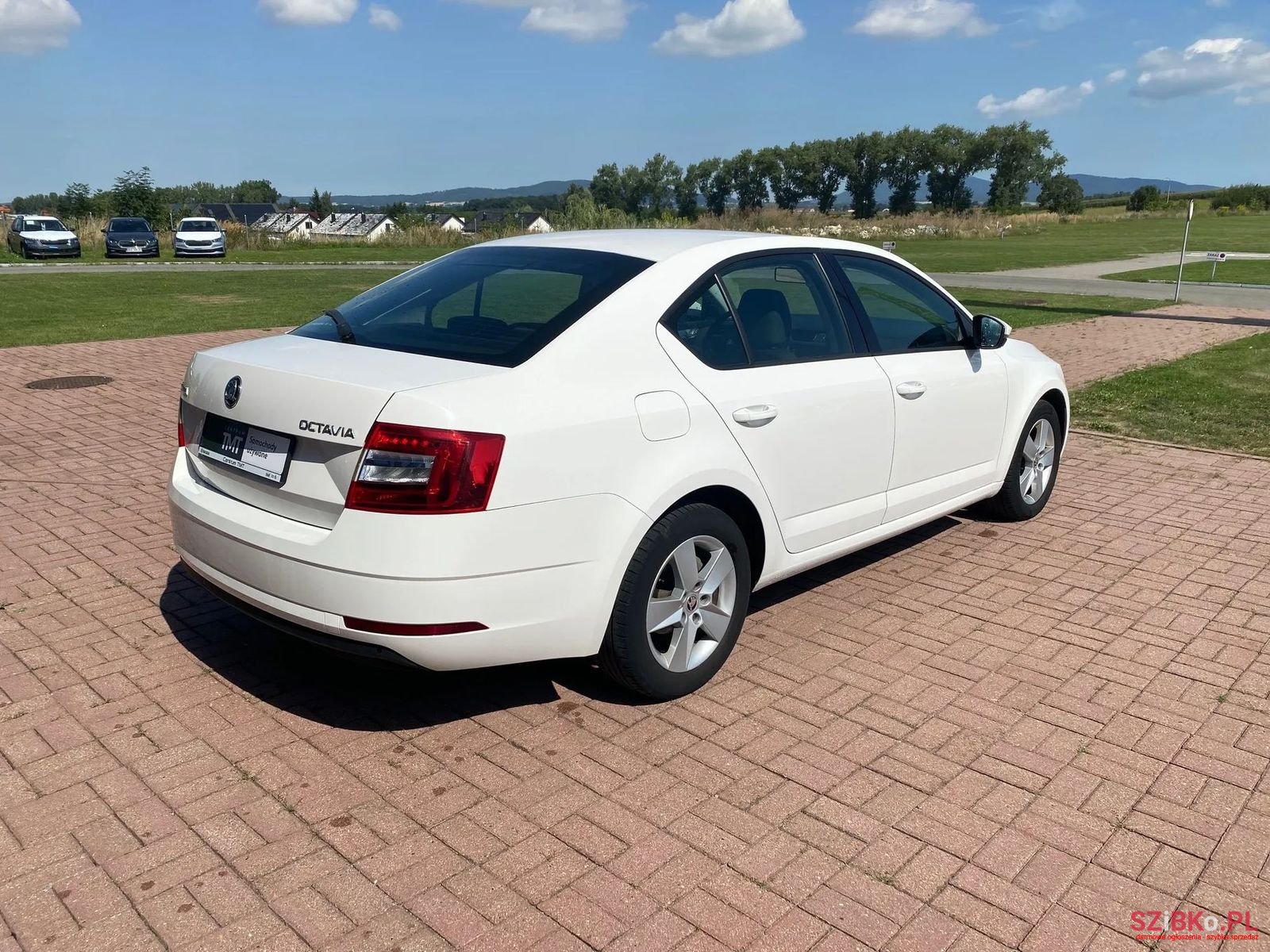 2019' Skoda Octavia photo #4