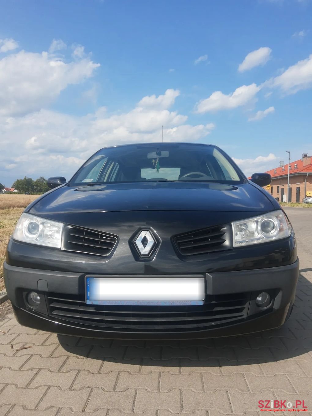 2007' Renault Megane photo #3