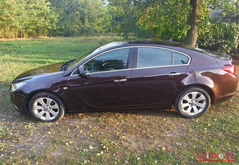 2010' Opel Insignia photo #5