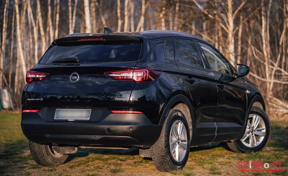 2018' Opel Grandland X photo #6