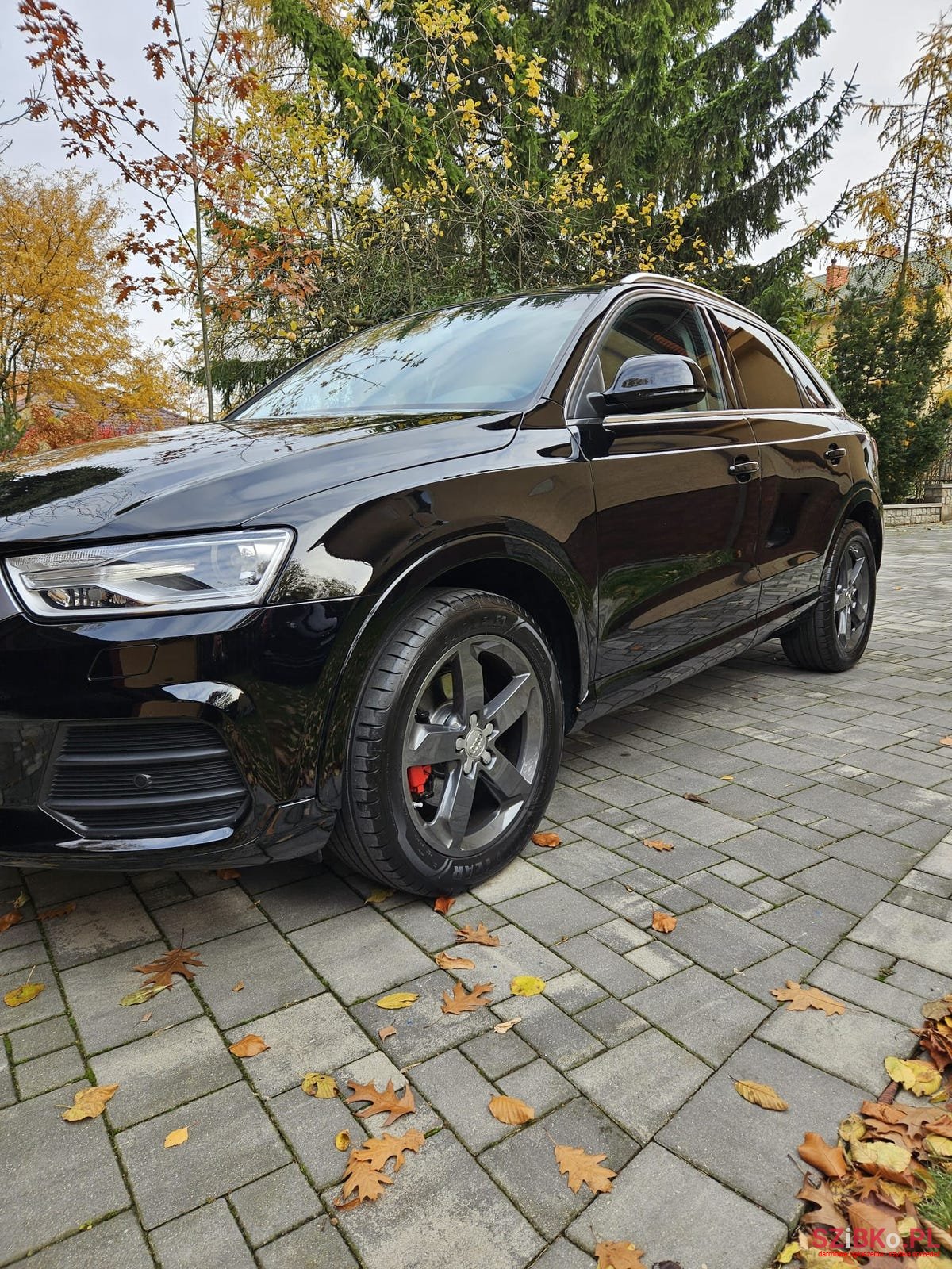 2015' Audi Q3 photo #2