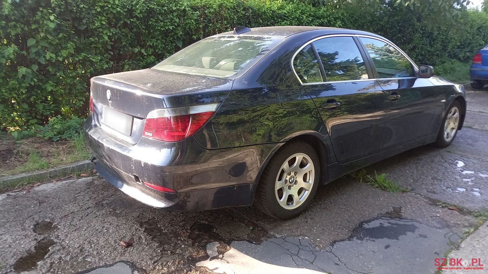 2006' BMW 5 Series photo #4