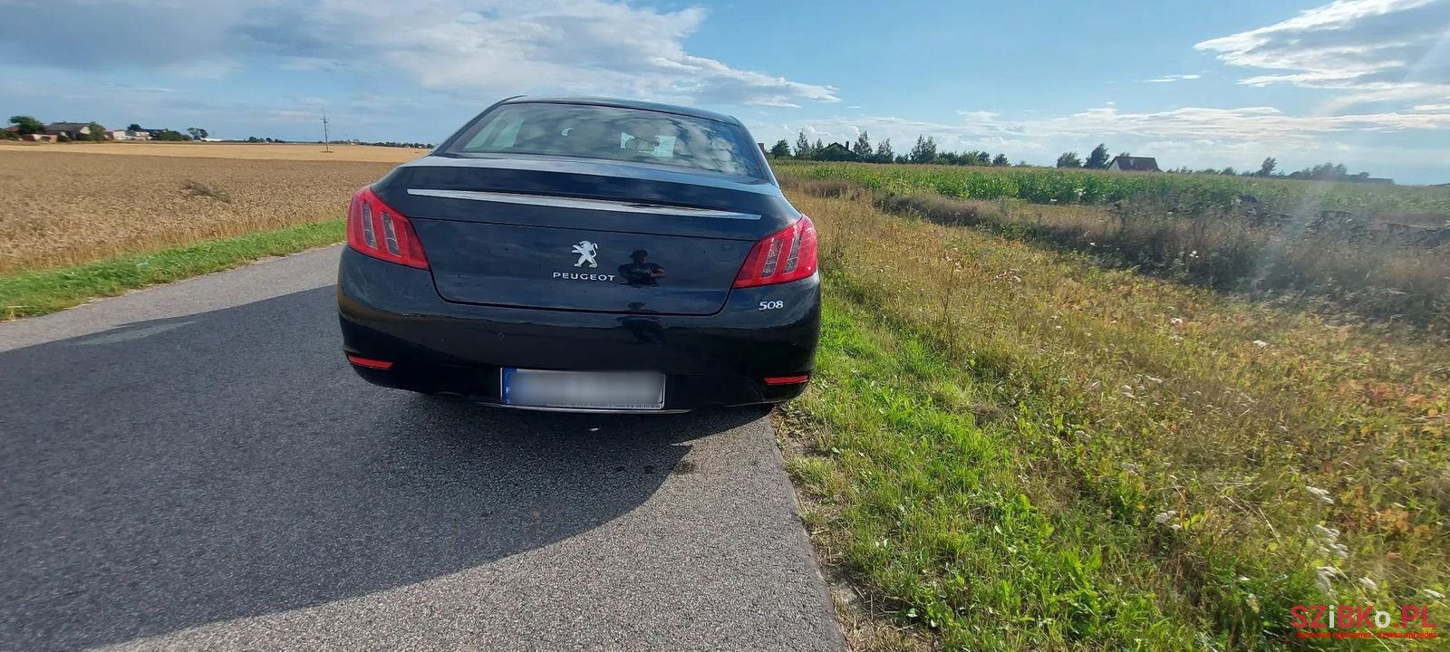 2012' Peugeot 508 photo #4