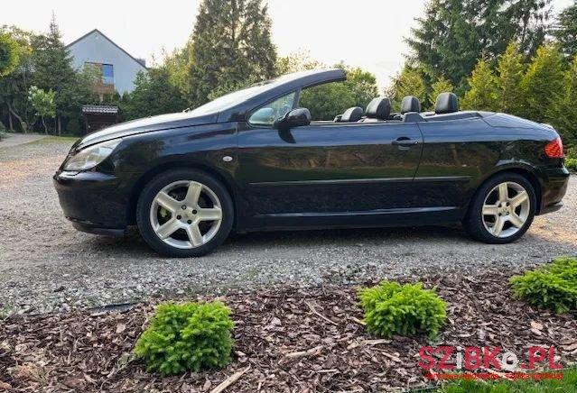 2005' Peugeot 307 180 Platinum photo #1