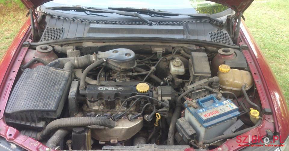 1996' Opel Vectra photo #2