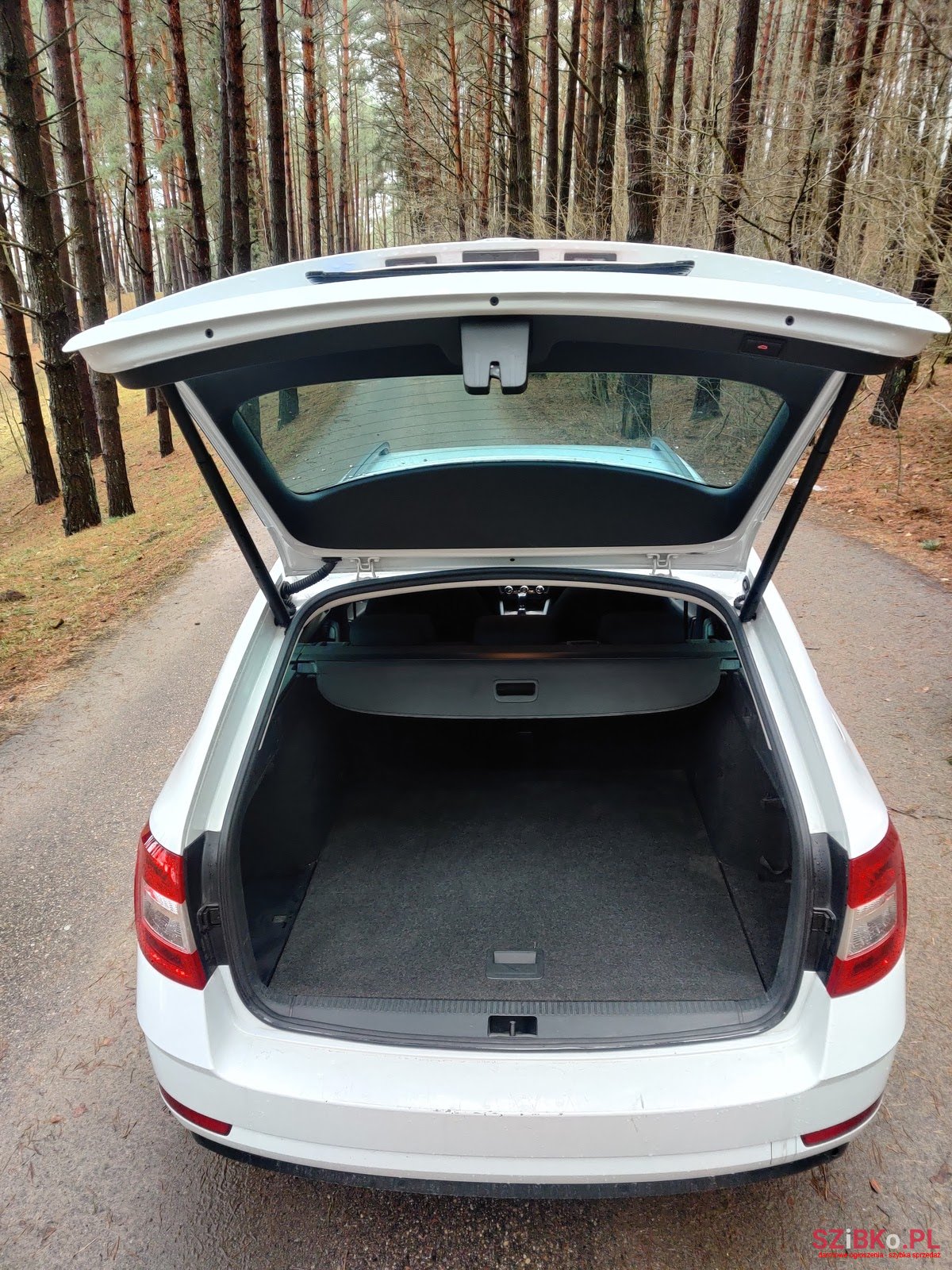 2017' Skoda Octavia 2.0 TDI / DSG photo #5