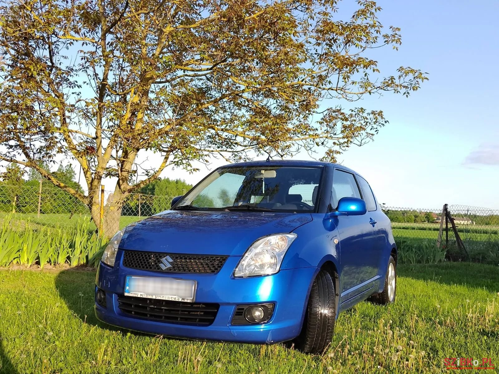 2009' Suzuki Swift photo #1