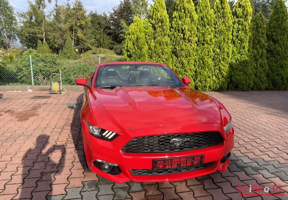 2017' Ford Mustang photo #6