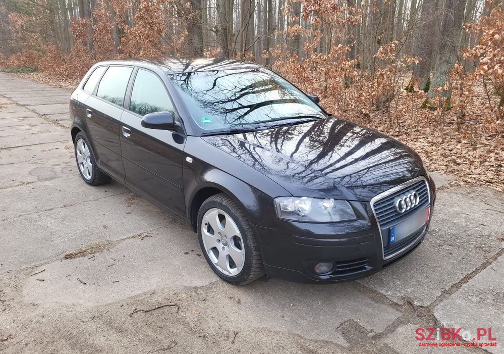 2005' Audi A3 1.6 Fsi Sportback photo #3