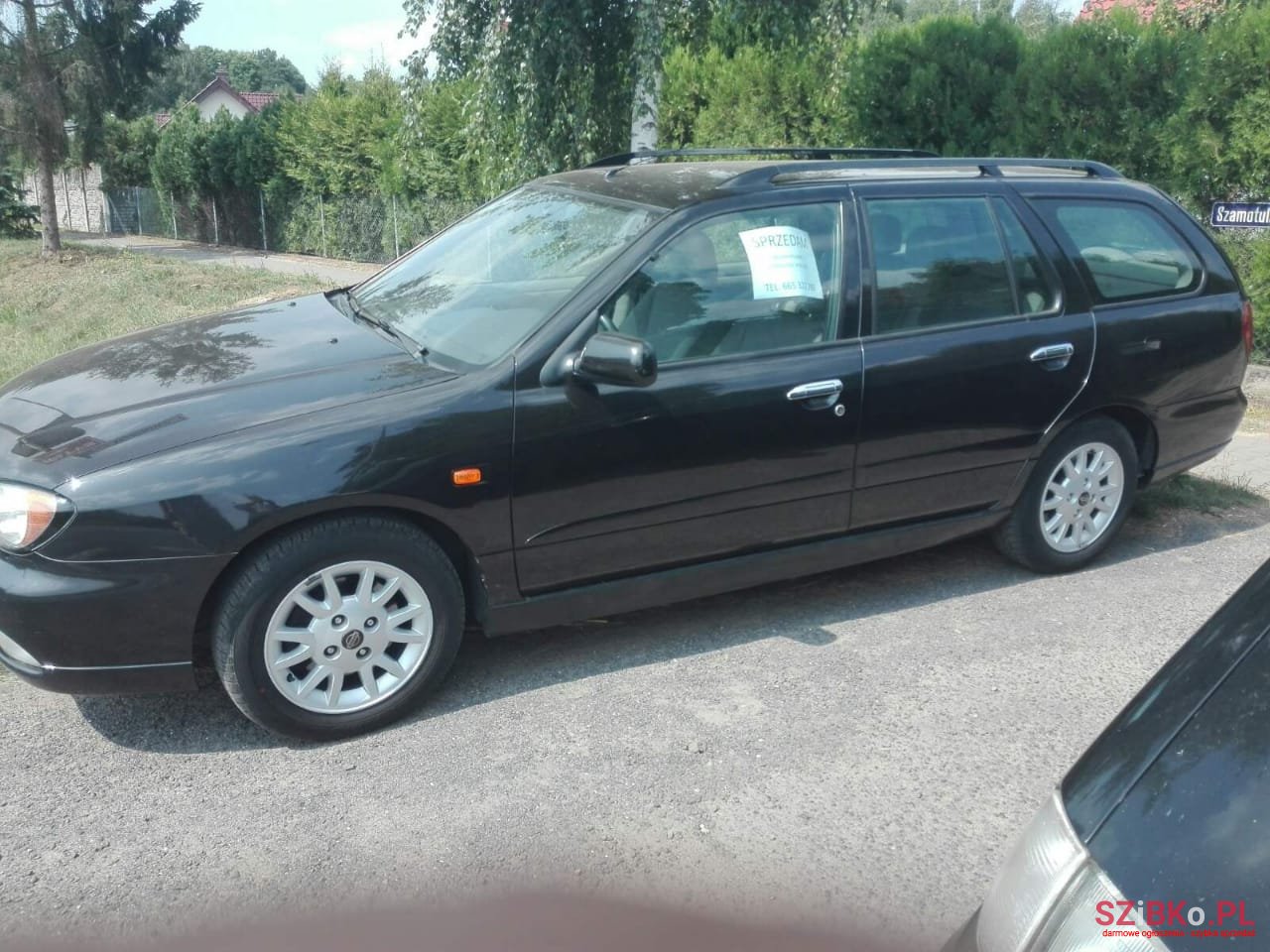 2001' Nissan Primera photo #5