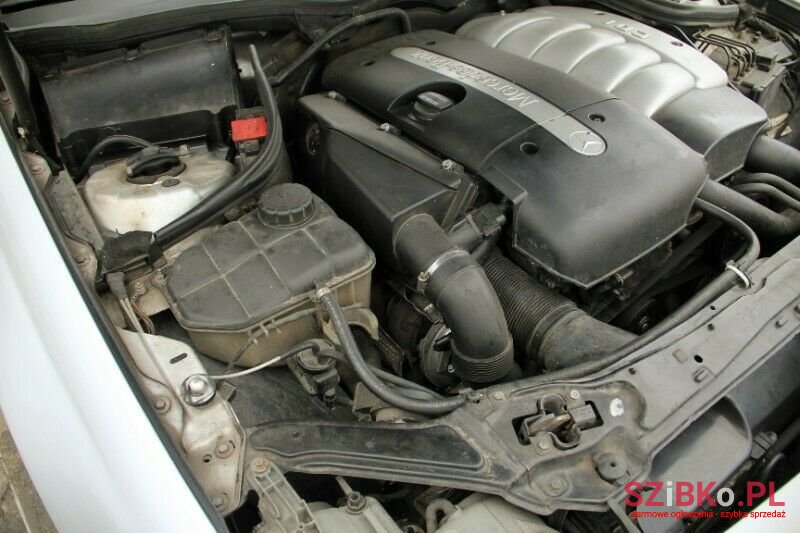 2002' Mercedes-Benz W209 photo #5