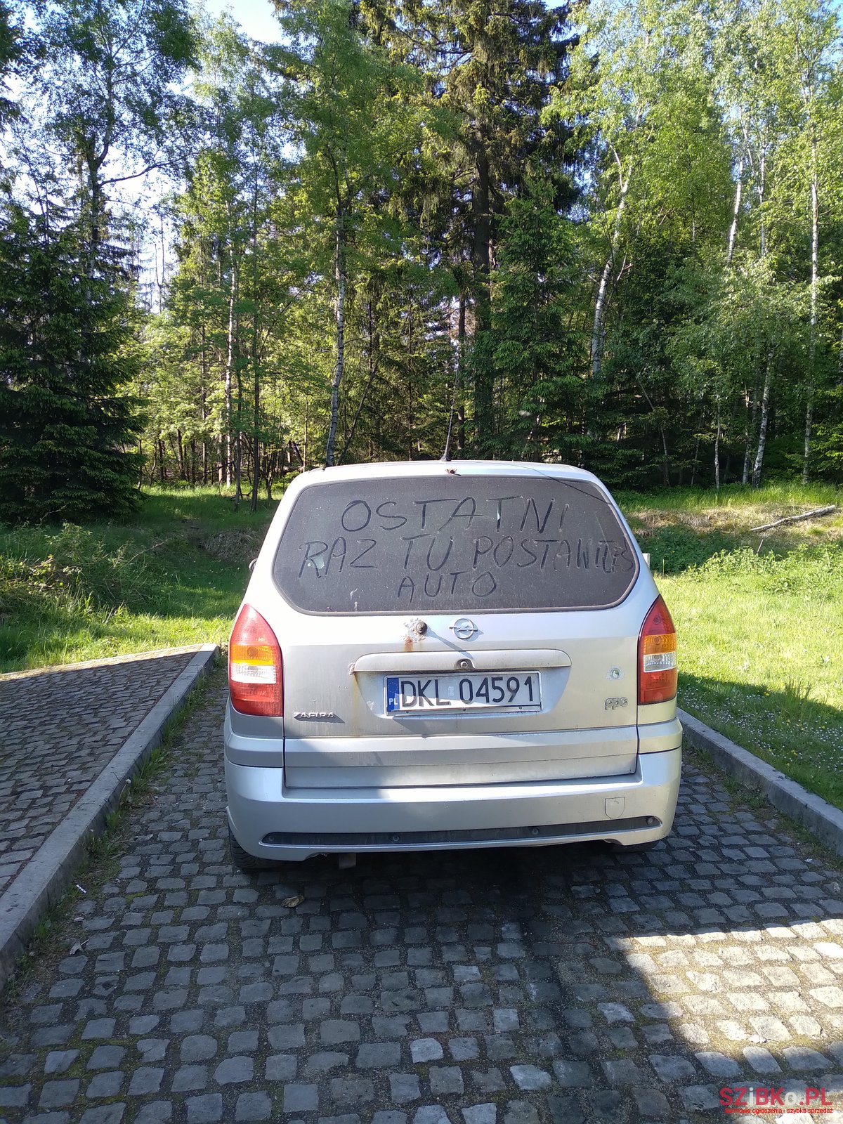 2003' Opel Zafira Opc photo #6