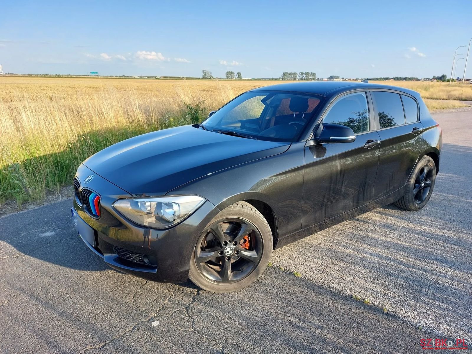 2012' BMW 1 Series photo #2