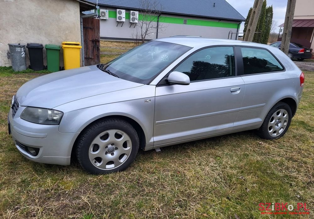 2003' Audi A3 1.6 Attraction photo #5