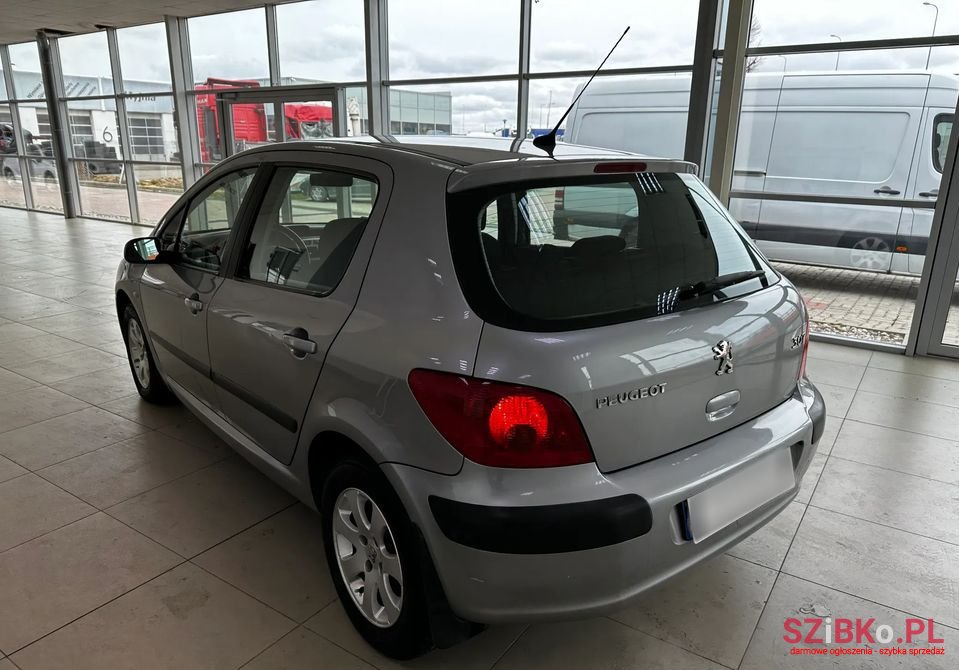 2003' Peugeot 307 photo #5