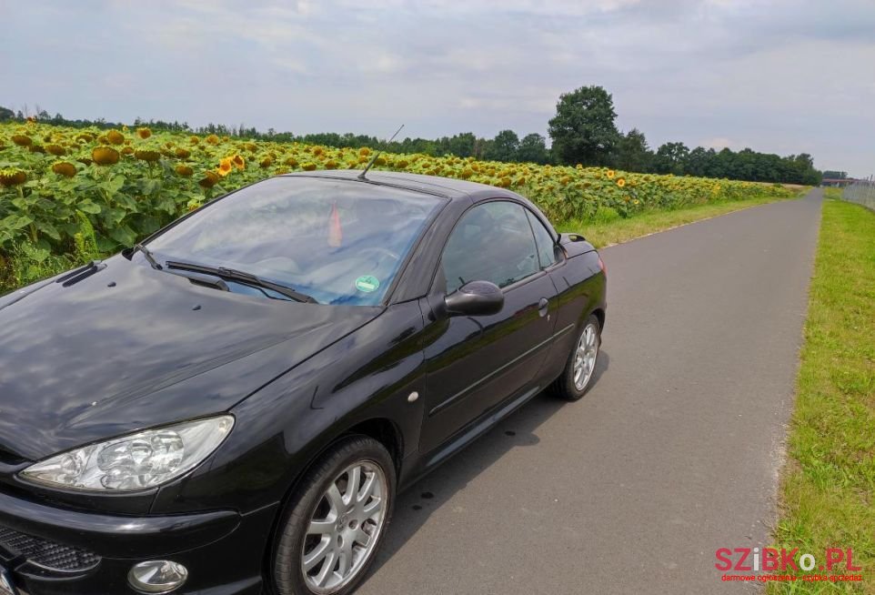 2004' Peugeot 206 photo #6