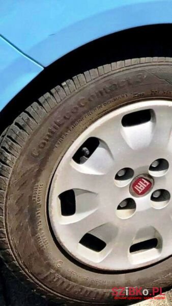 2011' Fiat Panda photo #5