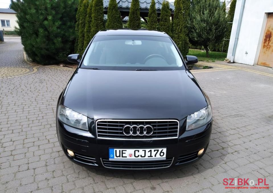 2004' Audi A3 Ambition photo #5