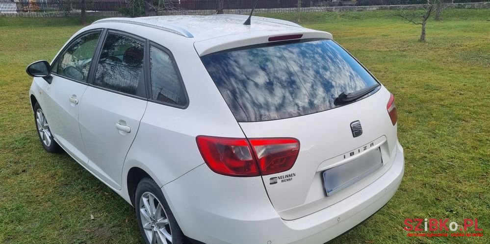 2010' SEAT Ibiza photo #4