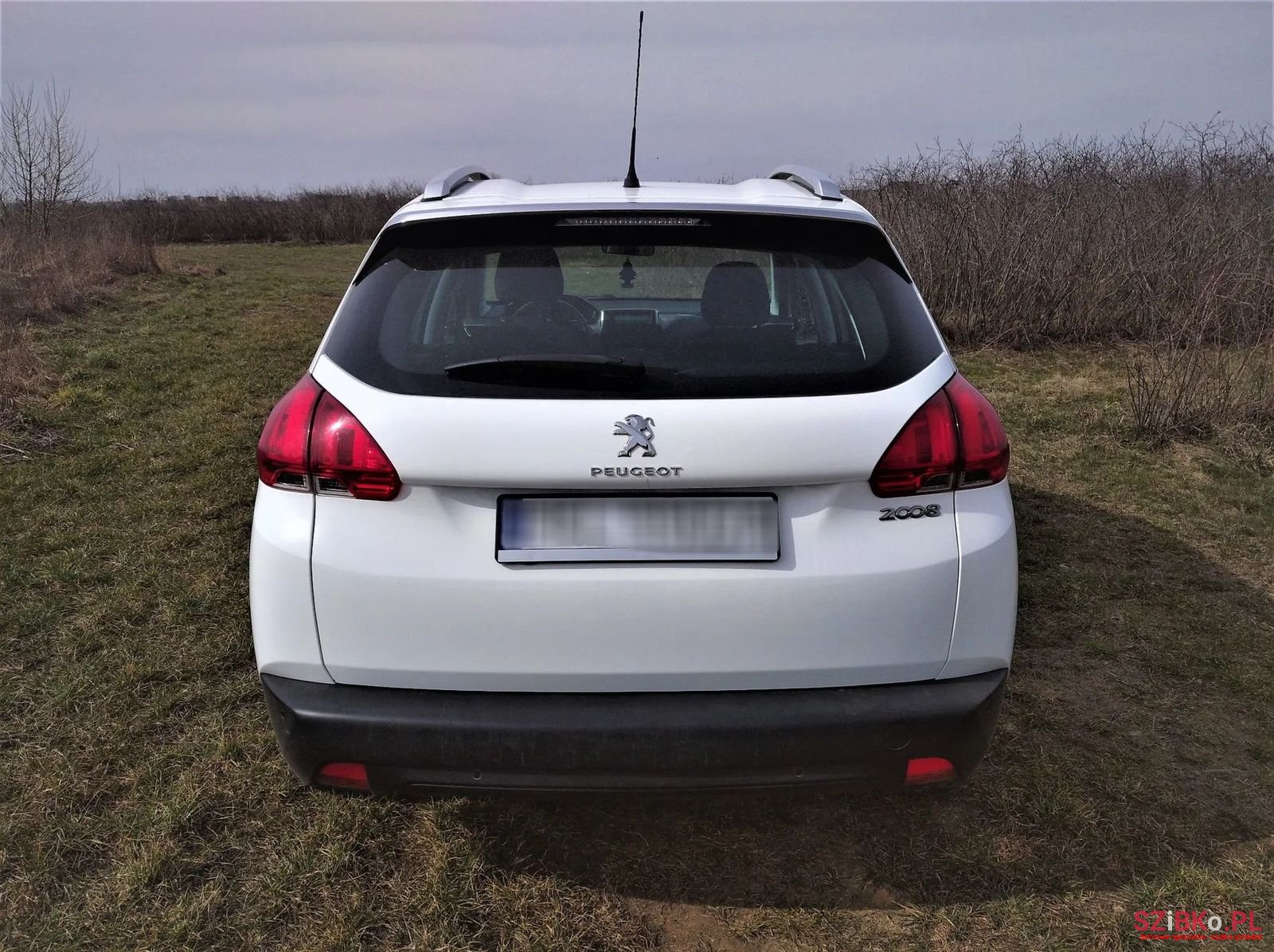 2014' Peugeot 2008 photo #6