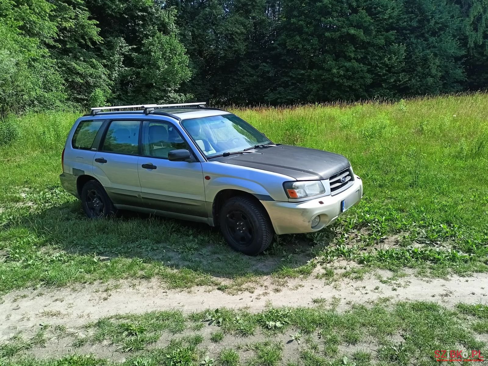 2004' Subaru Forester photo #1