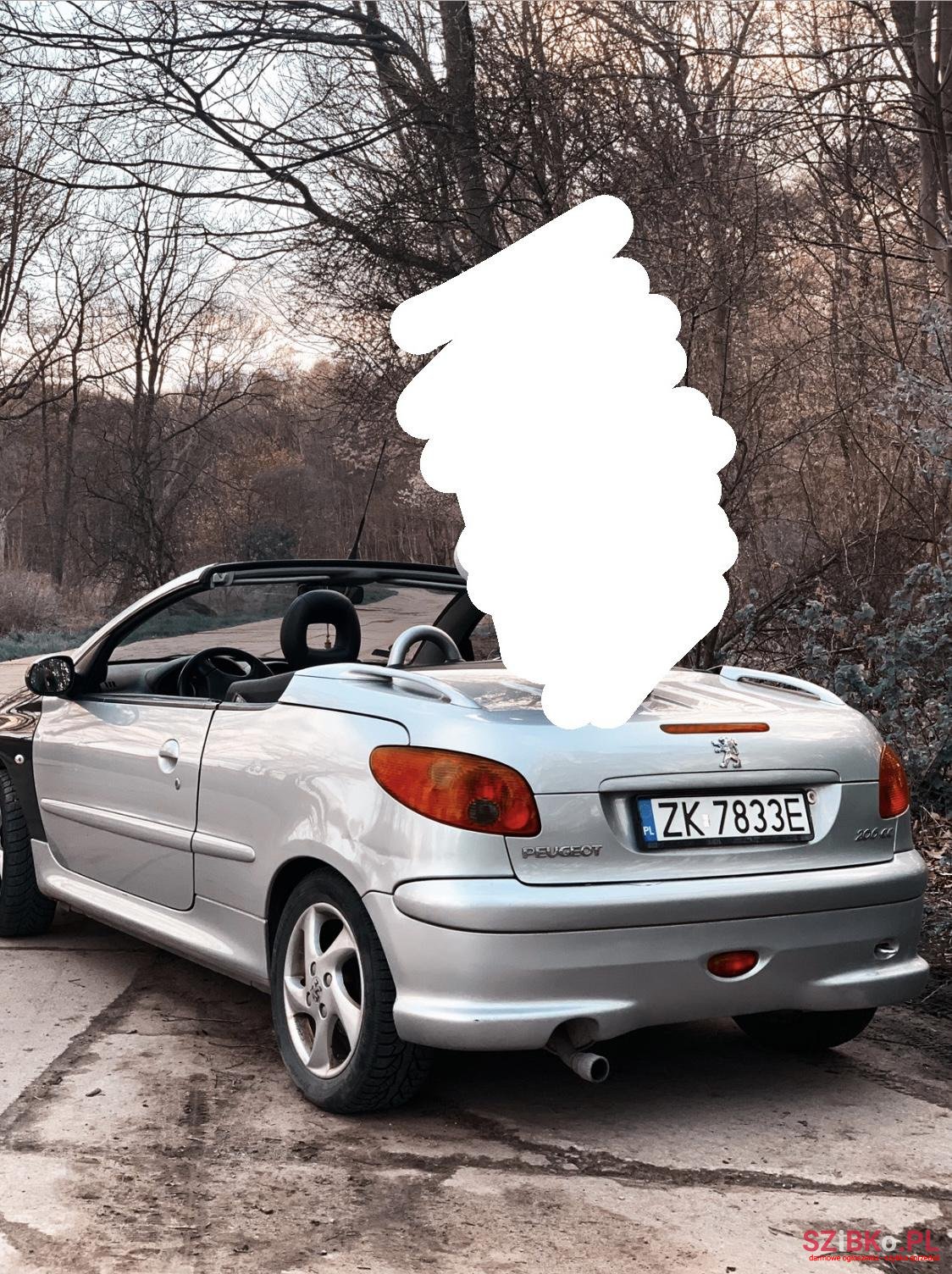 2006' Peugeot 206 Kabriolet photo #5