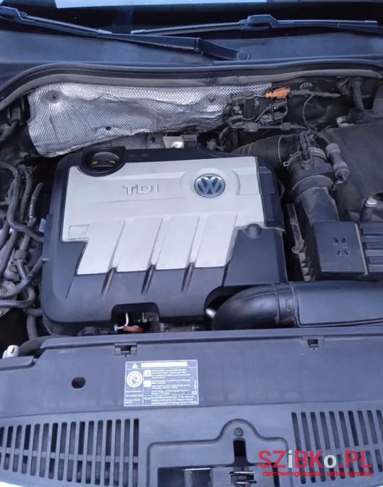 2008' Volkswagen Tiguan photo #2