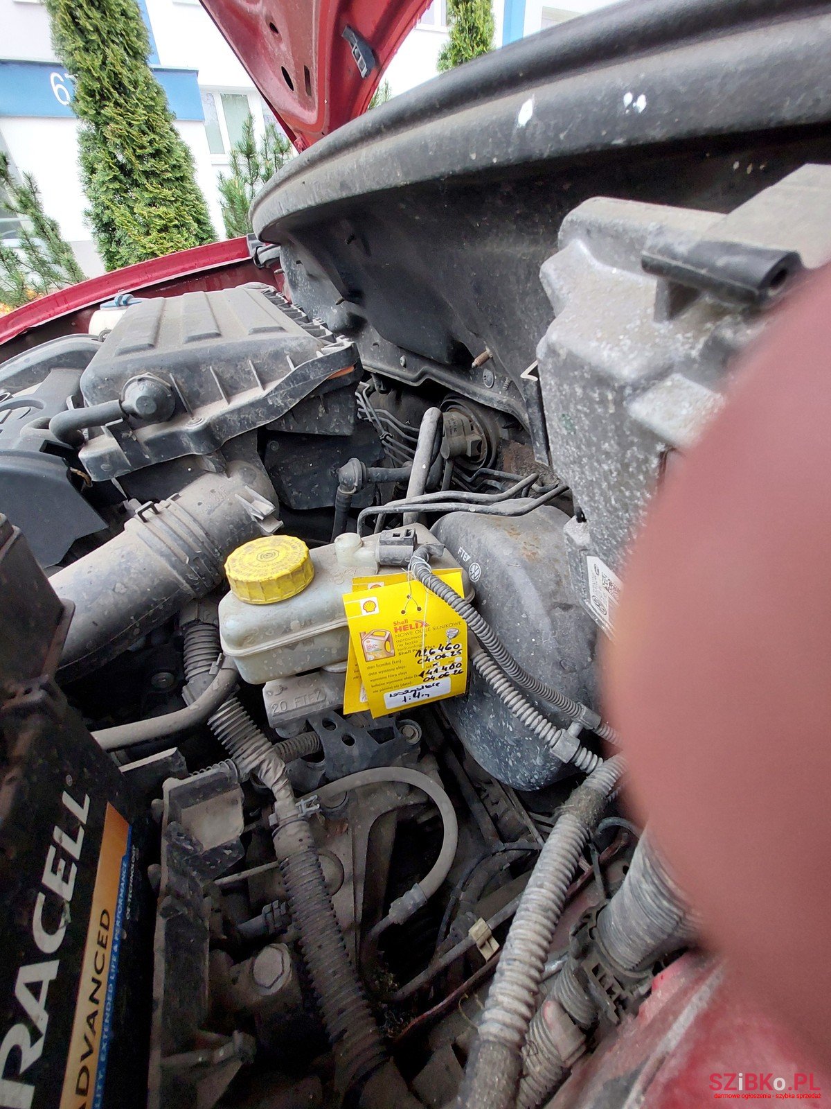 2008' SEAT Ibiza Sport Cool Rider II photo #7