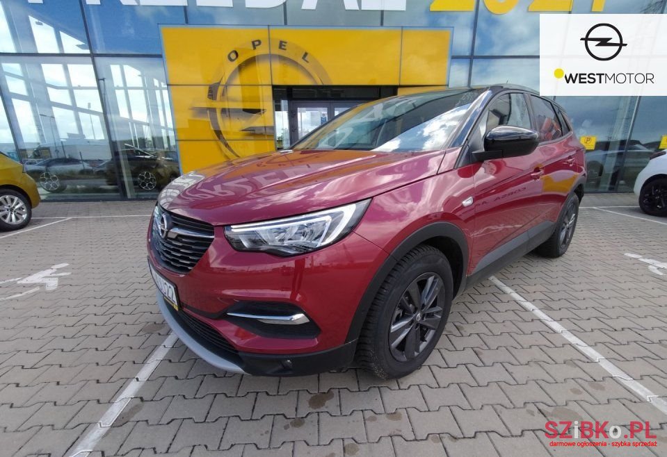 2021' Opel Grandland X photo #1