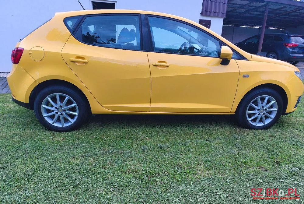 2009' SEAT Ibiza 1.4 16V Passion photo #6